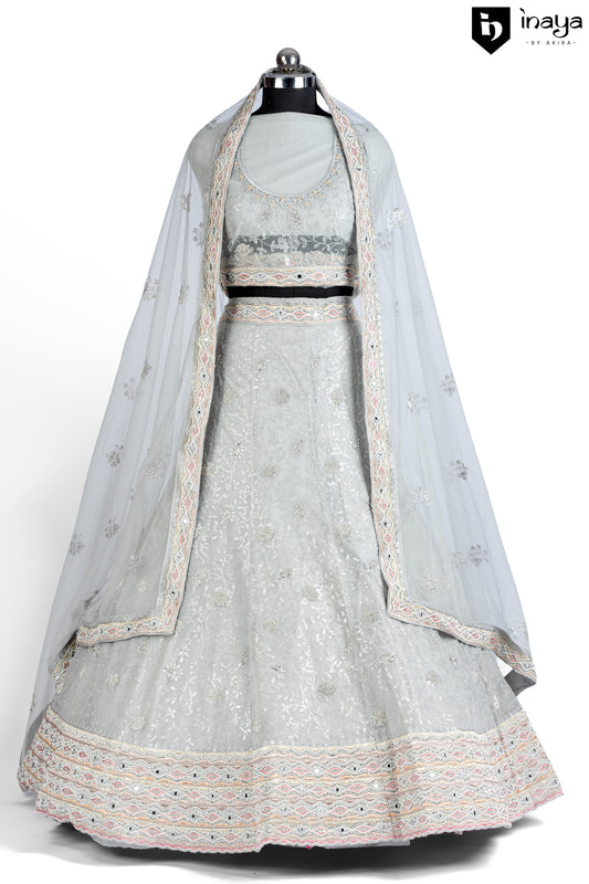 Moonlit Gleam: Silver Net Semi-Stitched Lehenga with Delicate Embroidery