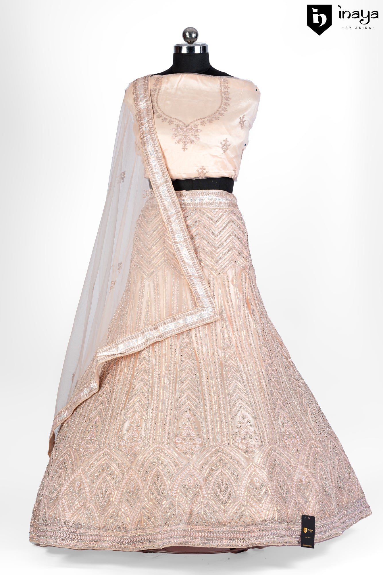 Champagne Blush Semi-Stitched Lehenga in Georgette and Net