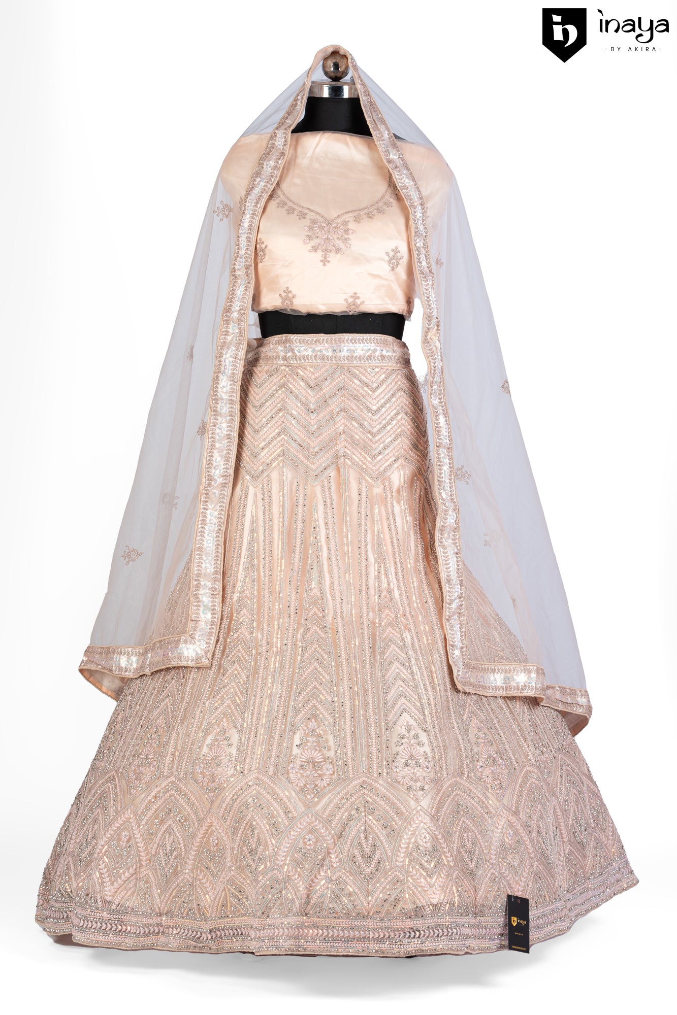 Champagne Blush Semi-Stitched Lehenga in Georgette and Net